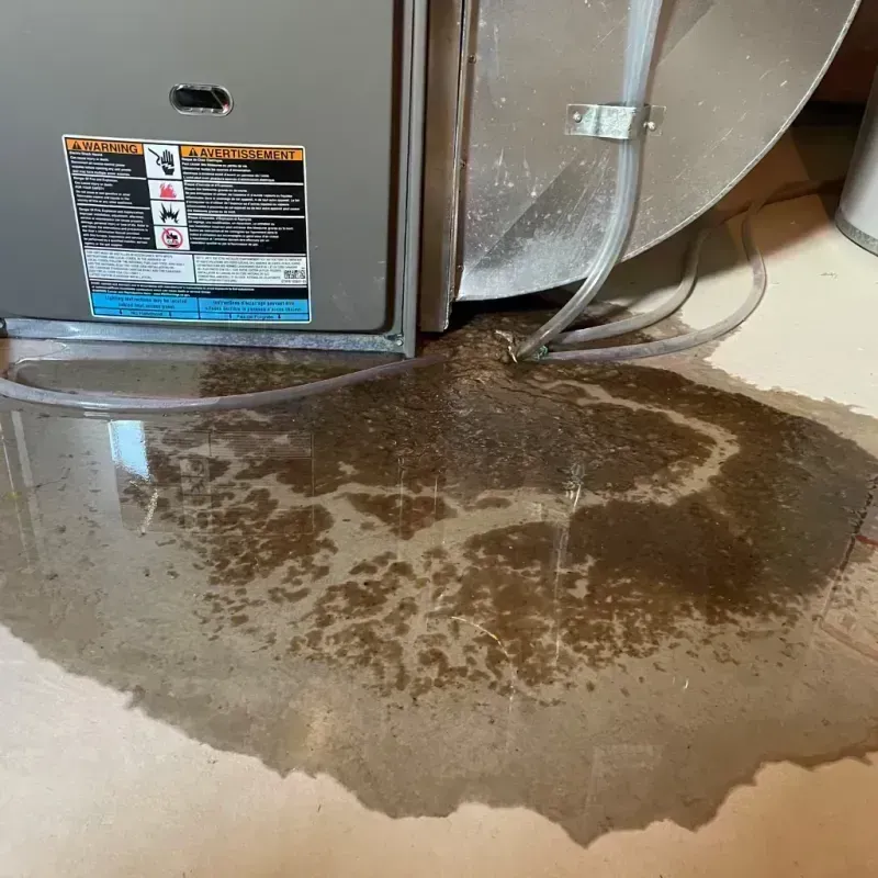 Appliance Leak Cleanup in Calvert City, KY